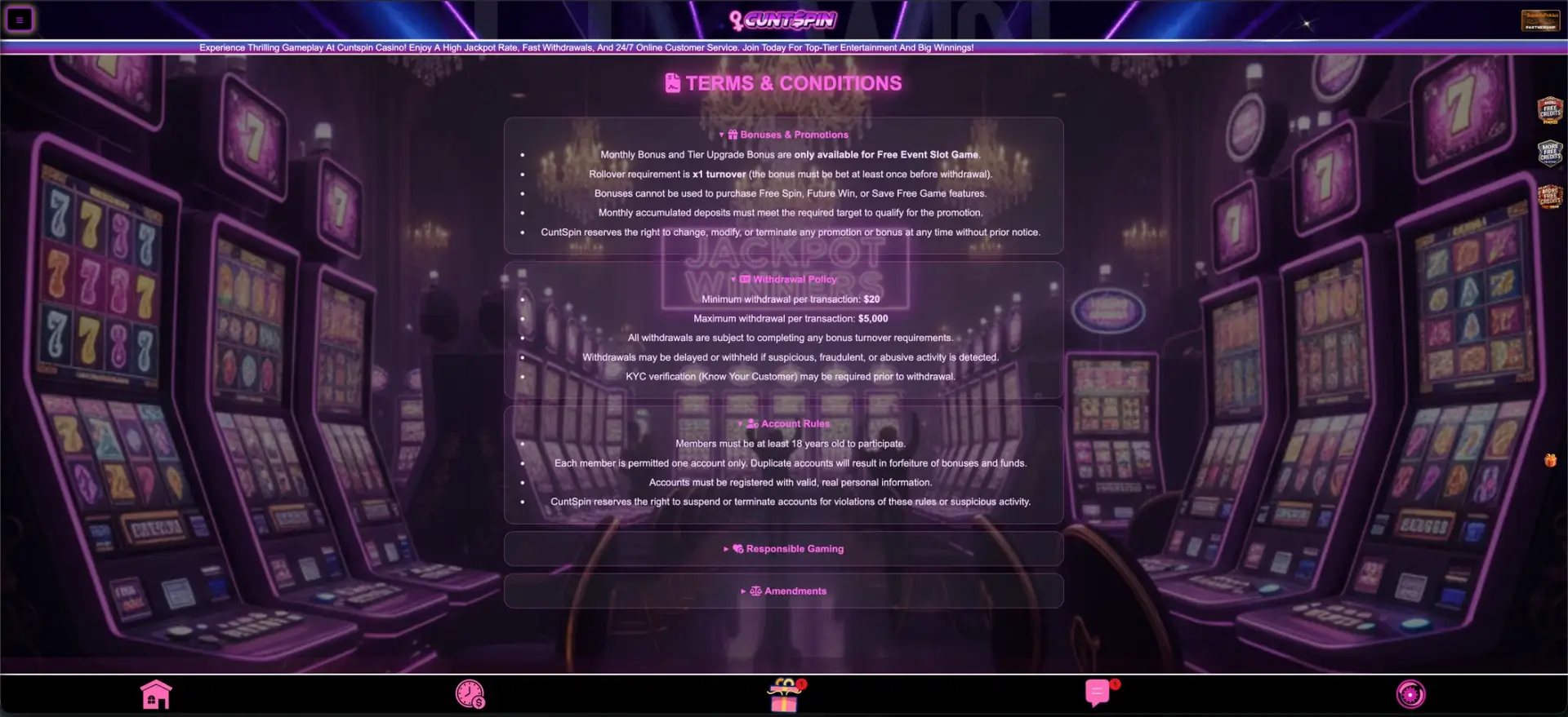 Cuntspin terms and conditions